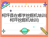 柯坪县在哪学挖掘机培训(柯坪挖掘机培训)