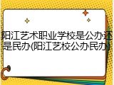 阳江艺术职业学校是公办还是民办(阳江艺校公办民办)