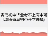 青岛初中毕业考不上高中可以吗(青岛初中升学选择)