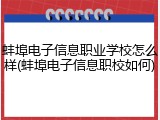 蚌埠电子信息职业学校怎么样(蚌埠电子信息职校如何)