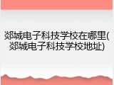 郯城电子科技学校在哪里(郯城电子科技学校地址)