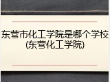东营市化工学院是哪个学校(东营化工学院)