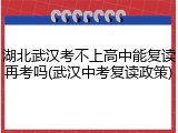 湖北武汉考不上高中能复读再考吗(武汉中考复读政策)