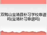 双鸭山宝清县补习学校靠谱吗(宝清补习靠谱吗)