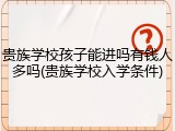 贵族学校孩子能进吗有钱人多吗(贵族学校入学条件)