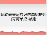 阿勒泰青河县好的单招培训(青河单招培训)