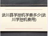 武川县学挖机学费多少(武川学挖机费用)