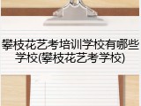 攀枝花艺考培训学校有哪些学校(攀枝花艺考学校)