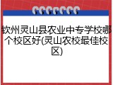 钦州灵山县农业中专学校哪个校区好(灵山农校最佳校区)