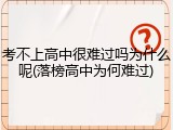 考不上高中很难过吗为什么呢(落榜高中为何难过)