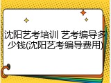 沈阳艺考培训 艺考编导多少钱(沈阳艺考编导费用)