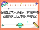 张家口艺术类职中有哪些专业(张家口艺术职中专业)