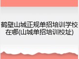 鹤壁山城正规单招培训学校在哪(山城单招培训校址)