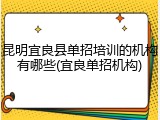 昆明宜良县单招培训的机构有哪些(宜良单招机构)