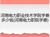 河南电力职业技术学院学费多少钱(河南电力职院学费)