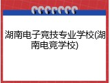 湖南电子竞技专业学校(湖南电竞学校)