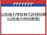 山东电力学校有几所技校啊(山东电力技校数量)