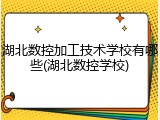 湖北数控加工技术学校有哪些(湖北数控学校)