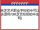 林芝艺术职业学校初中可以去读吗?(林芝艺校招初中生吗)