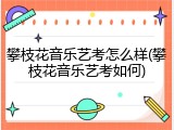 攀枝花音乐艺考怎么样(攀枝花音乐艺考如何)