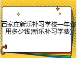 石家庄新乐补习学校一年费用多少钱(新乐补习学费)