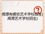 湘潭有哪些艺术学校招生(湘潭艺术学校招生)