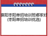 襄阳枣阳单招培训班哪家好(枣阳单招培训优选)