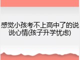 感觉小孩考不上高中了的说说心情(孩子升学忧虑)