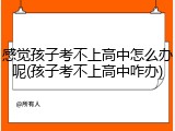 感觉孩子考不上高中怎么办呢(孩子考不上高中咋办)