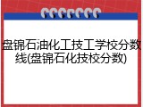 盘锦石油化工技工学校分数线(盘锦石化技校分数)