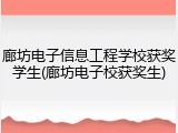 廊坊电子信息工程学校获奖学生(廊坊电子校获奖生)