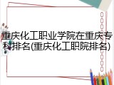 重庆化工职业学院在重庆专科排名(重庆化工职院排名)