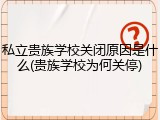 私立贵族学校关闭原因是什么(贵族学校为何关停)