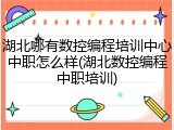 湖北哪有数控编程培训中心中职怎么样(湖北数控编程中职培训)