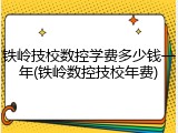 铁岭技校数控学费多少钱一年(铁岭数控技校年费)