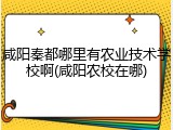 咸阳秦都哪里有农业技术学校啊(咸阳农校在哪)