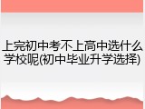 上完初中考不上高中选什么学校呢(初中毕业升学选择)