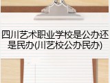 四川艺术职业学校是公办还是民办(川艺校公办民办)