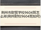 荆州市财贸学校9604班怎么样(荆州财校9604班如何)