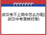 武汉考不上高中怎么办呢(武汉中考落榜对策)
