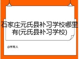 石家庄元氏县补习学校哪里有(元氏县补习学校)