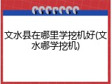 文水县在哪里学挖机好(文水哪学挖机)