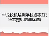 华龙挖机培训学校哪家好(华龙挖机培训优选)