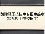 醴陵轻工技校中专招生简章(醴陵轻工技校招生)