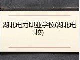 湖北电力职业学校(湖北电校)