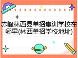 赤峰林西县单招集训学校在哪里(林西单招学校地址)