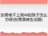 东莞考不上高中的孩子怎么办呀(东莞落榜生出路)