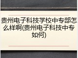 贵州电子科技学校中专部怎么样啊(贵州电子科技中专如何)