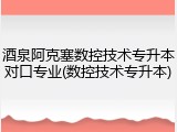 酒泉阿克塞数控技术专升本对口专业(数控技术专升本)