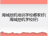 海城挖机培训学校哪家好(海城挖机学校好)
